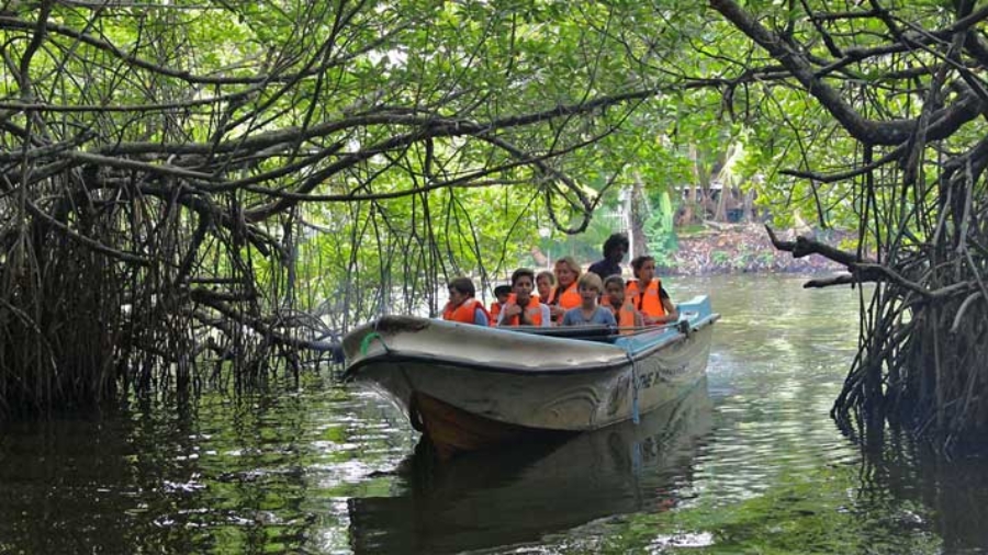 madu river boat safari